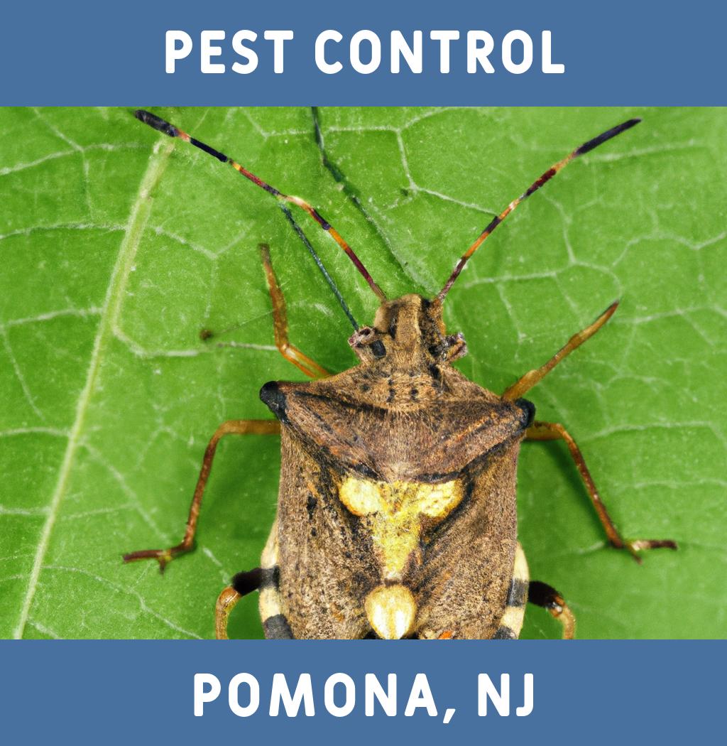 pest control in Pomona New Jersey