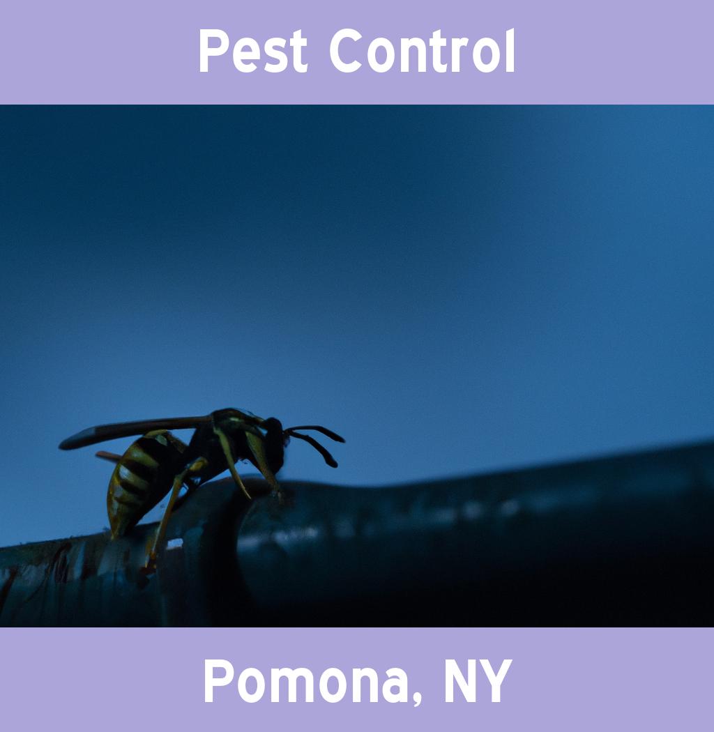 pest control in Pomona New York