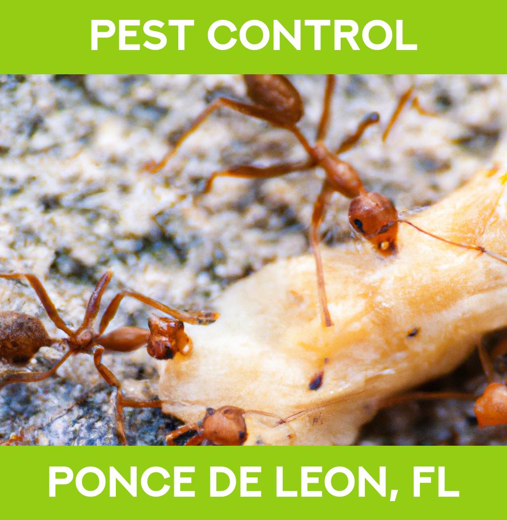 pest control in Ponce De Leon Florida