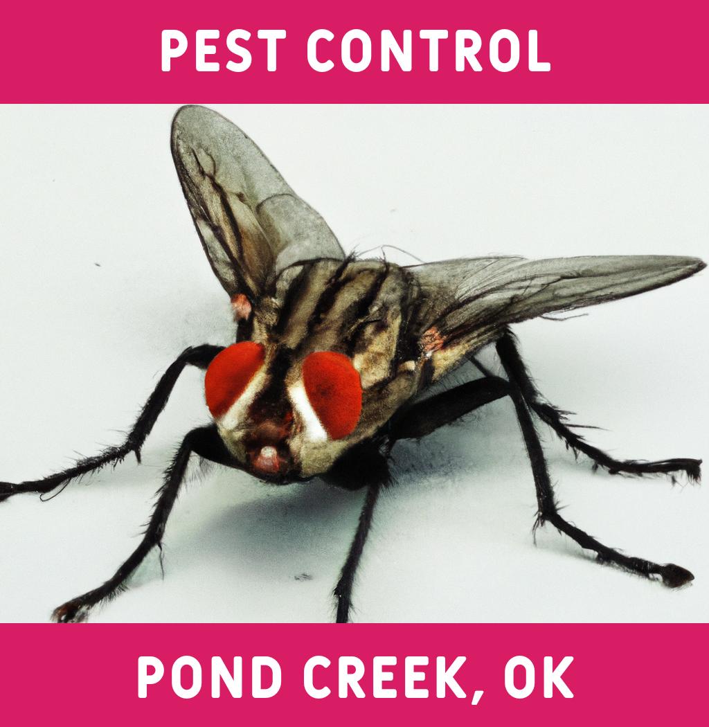 pest control in Pond Creek Oklahoma