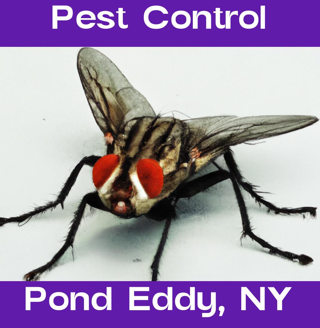 pest control in Pond Eddy New York