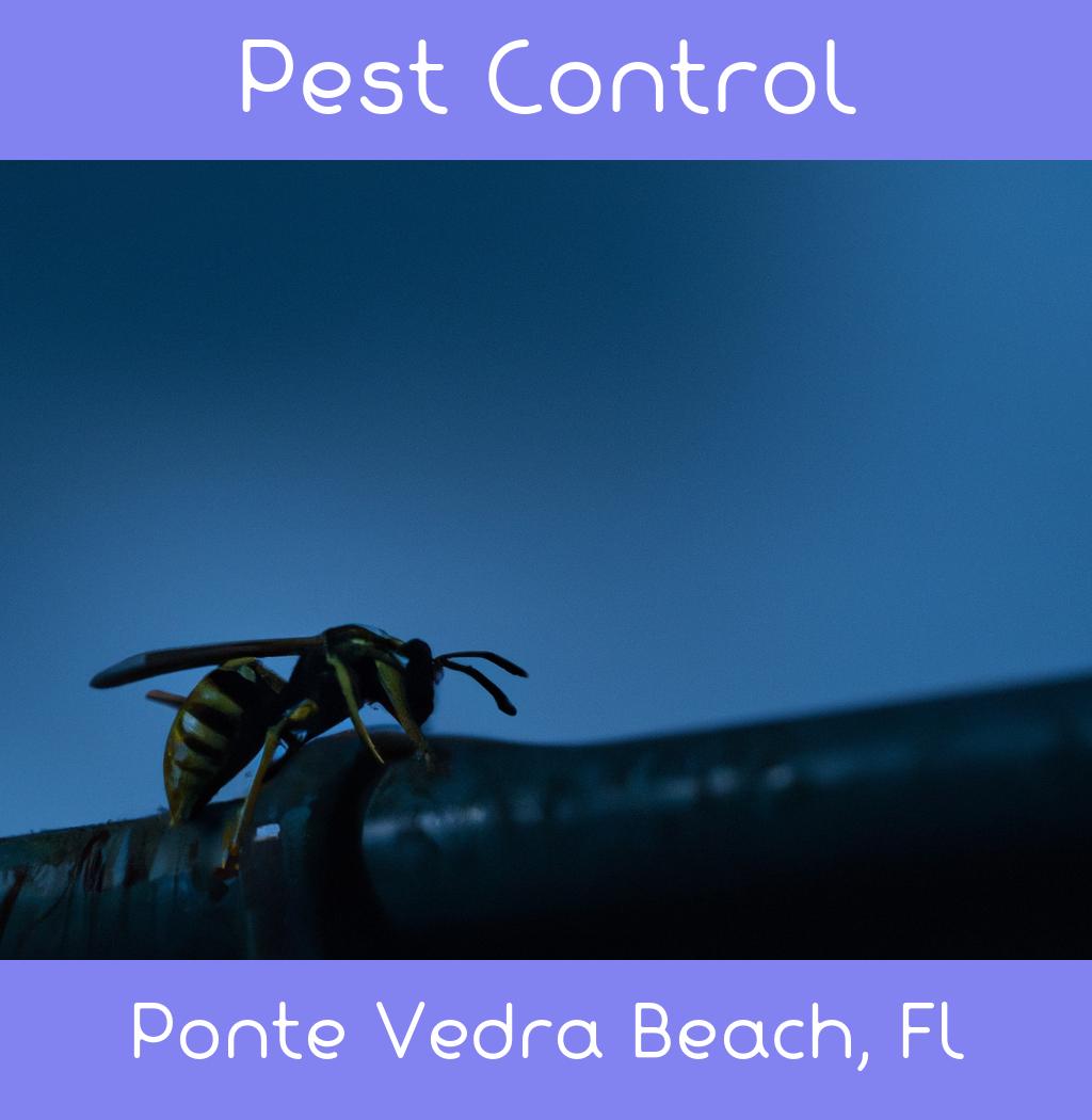 pest control in Ponte Vedra Beach Florida