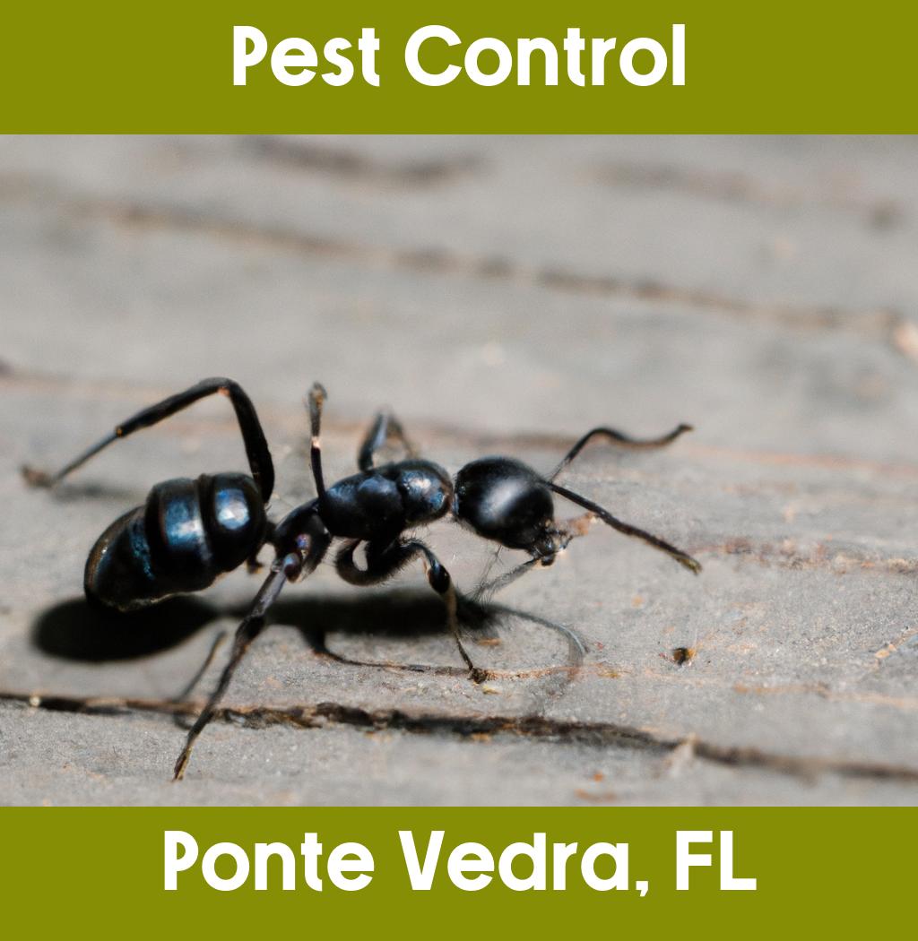 pest control in Ponte Vedra Florida