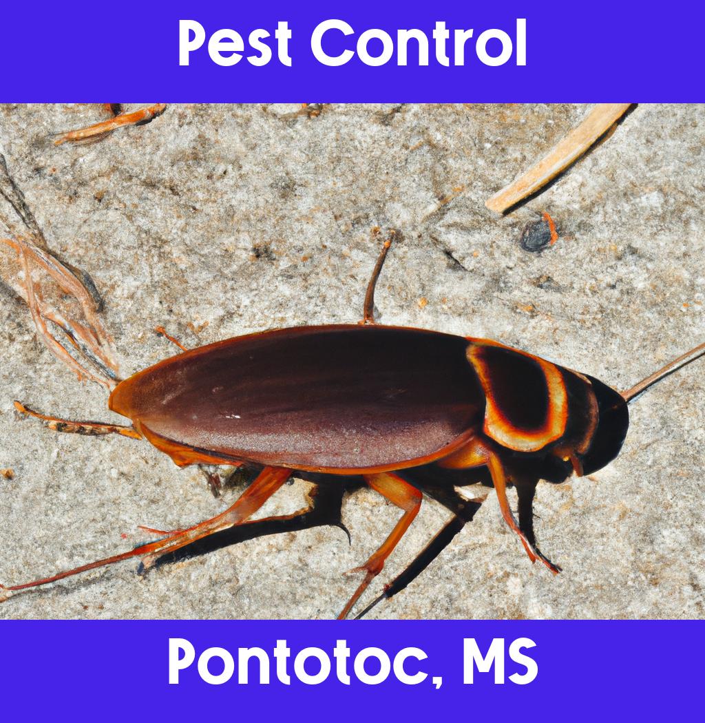 pest control in Pontotoc Mississippi