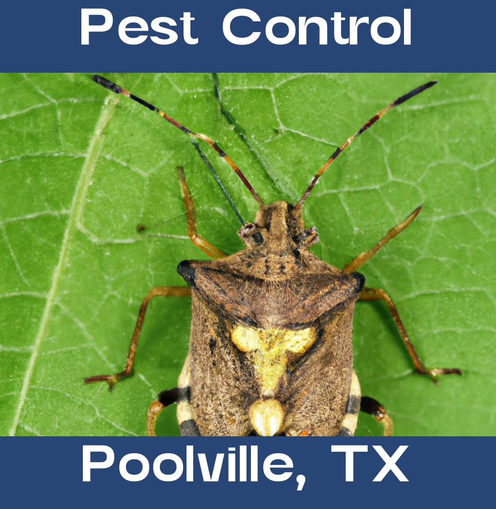 pest control in Poolville Texas