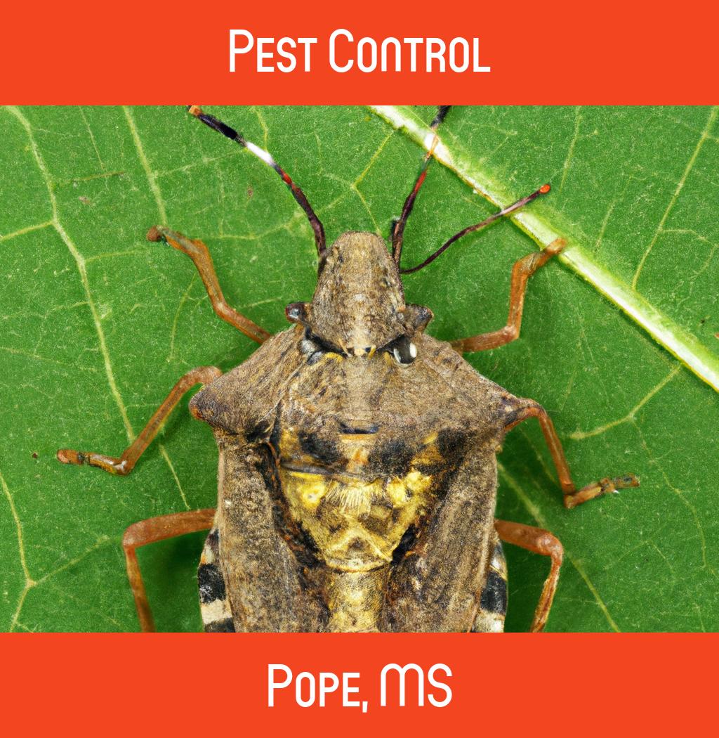 pest control in Pope Mississippi