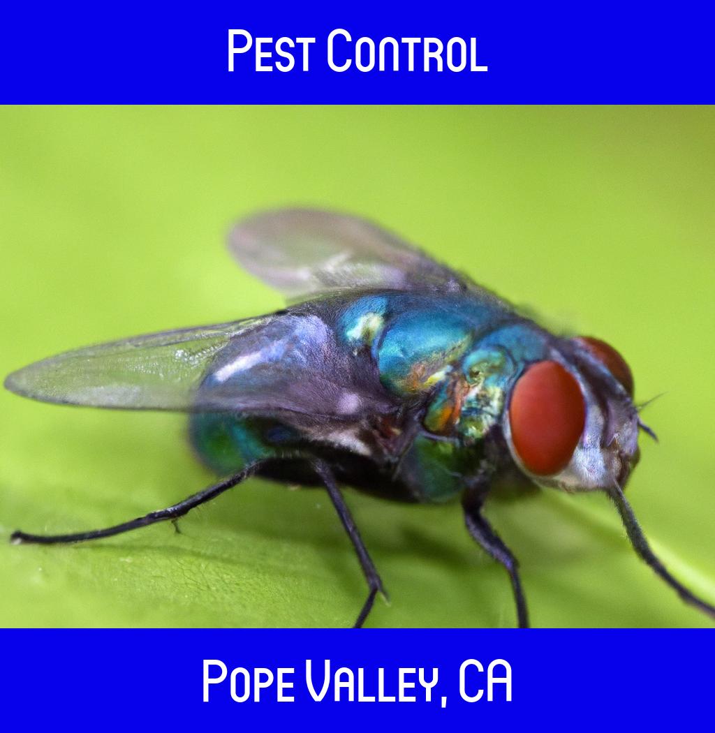 pest control in Pope Valley California