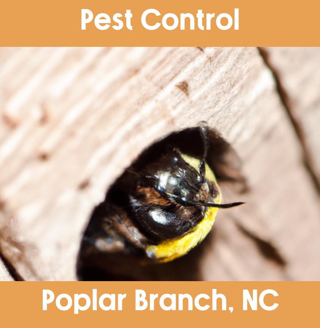 pest control in Poplar Branch North Carolina