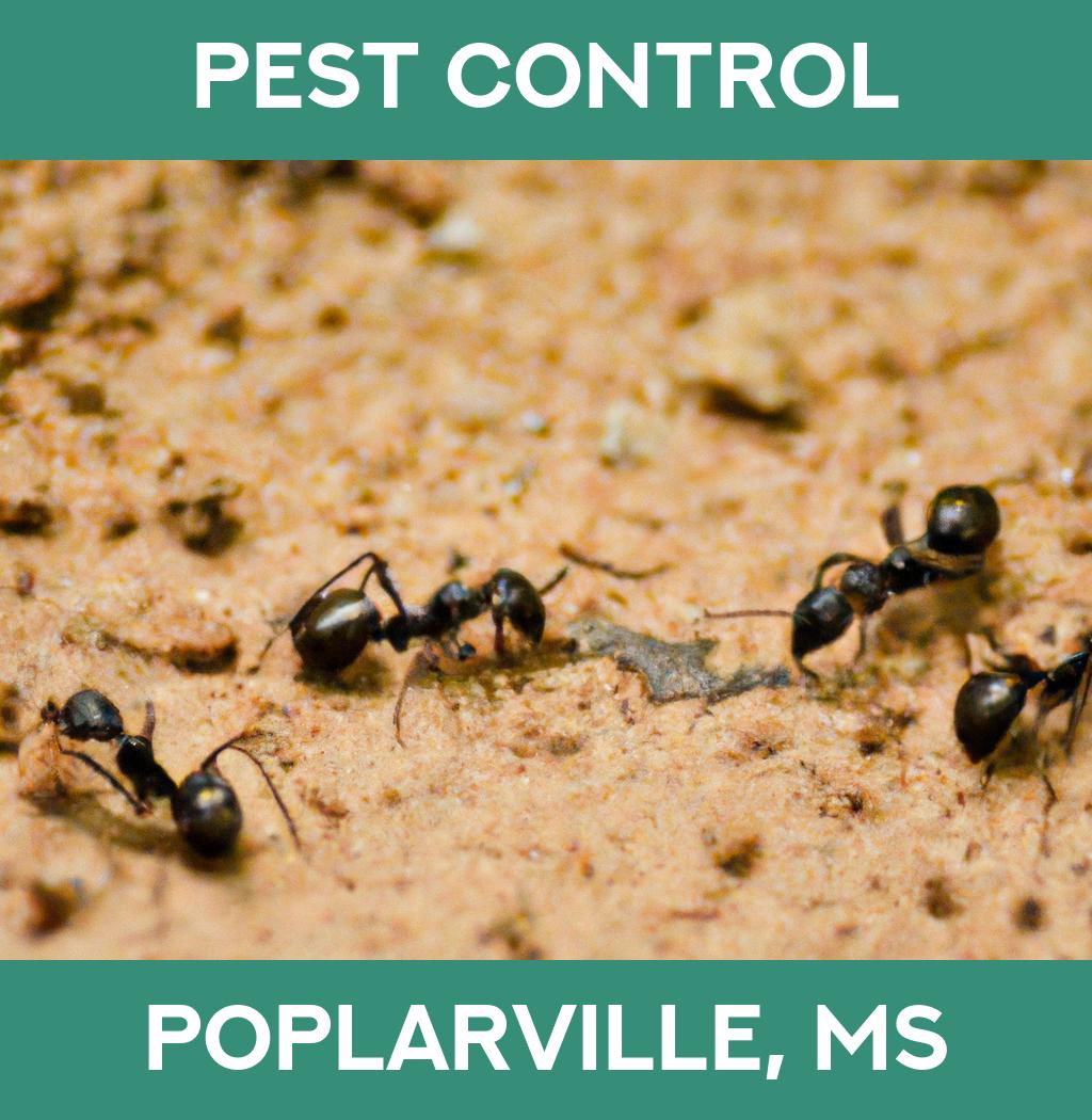 pest control in Poplarville Mississippi