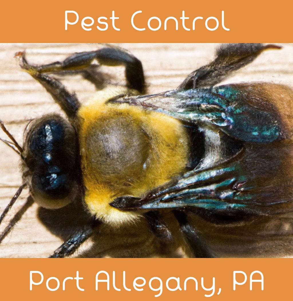 pest control in Port Allegany Pennsylvania