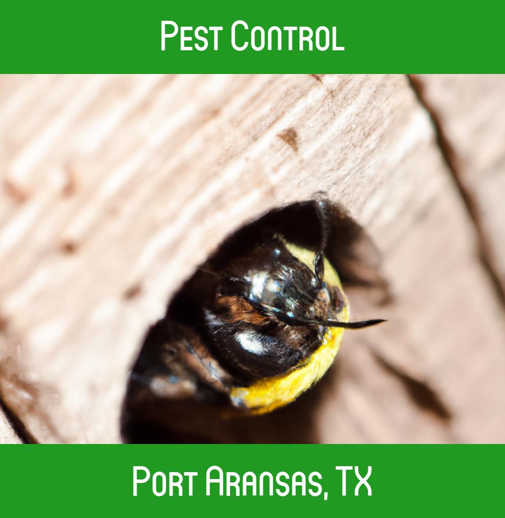 pest control in Port Aransas Texas