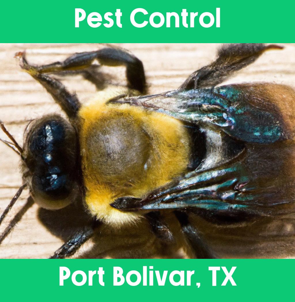 pest control in Port Bolivar Texas