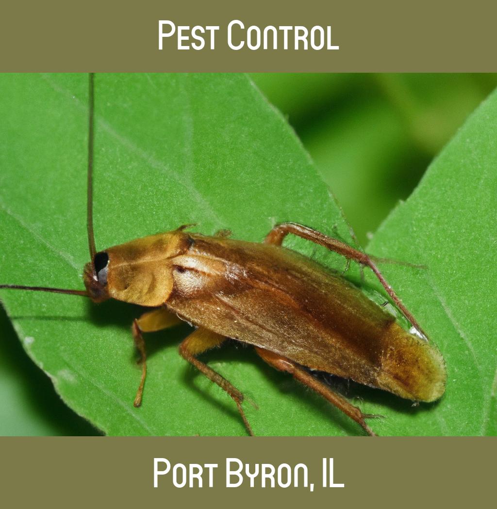 pest control in Port Byron Illinois