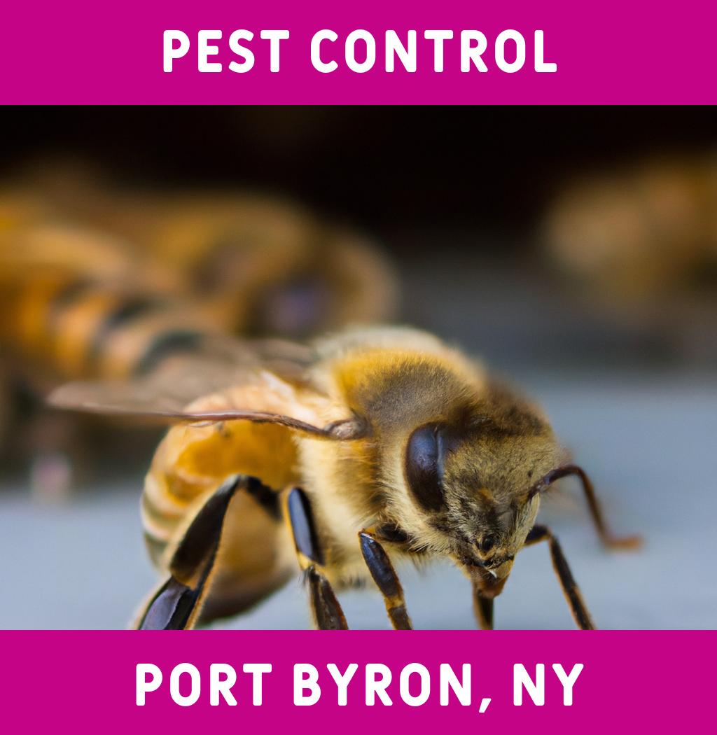 pest control in Port Byron New York