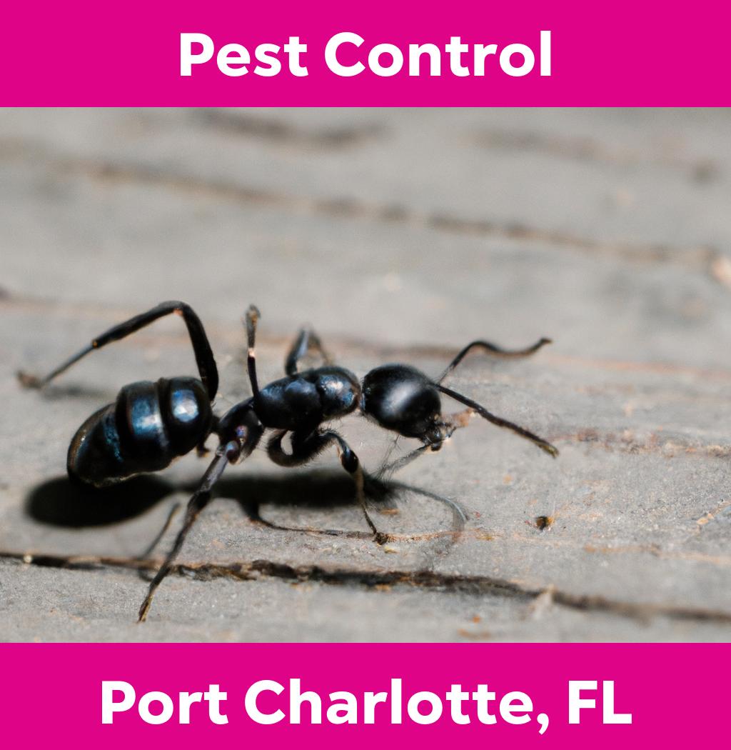 pest control in Port Charlotte Florida