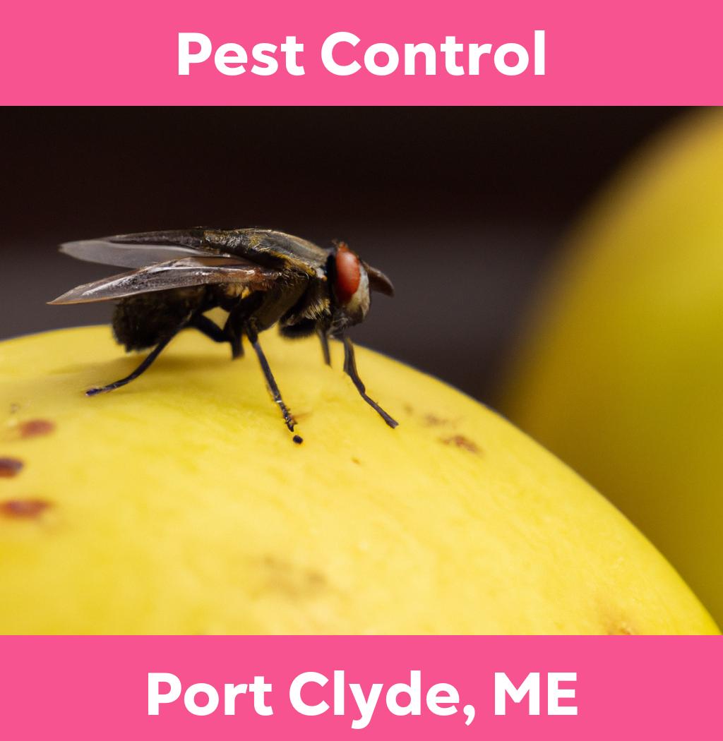 pest control in Port Clyde Maine