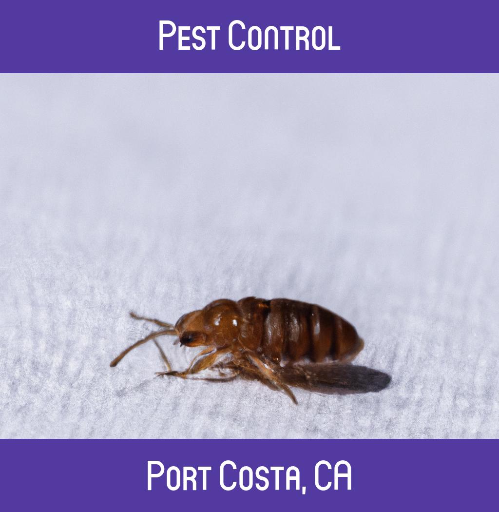 pest control in Port Costa California