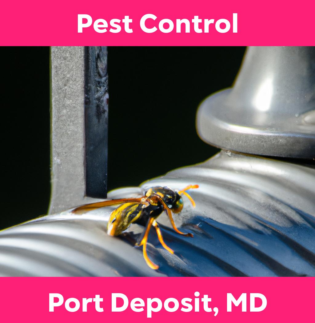pest control in Port Deposit Maryland