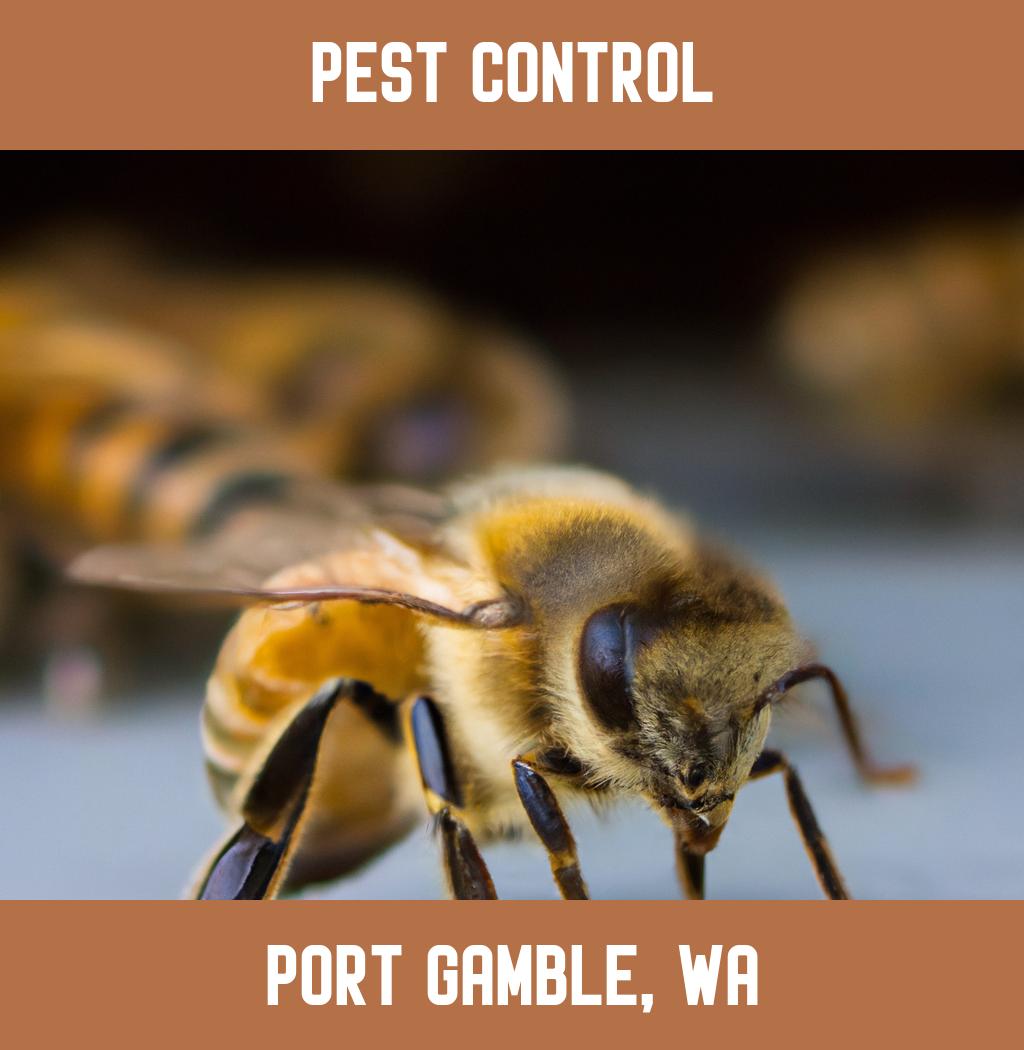 pest control in Port Gamble Washington