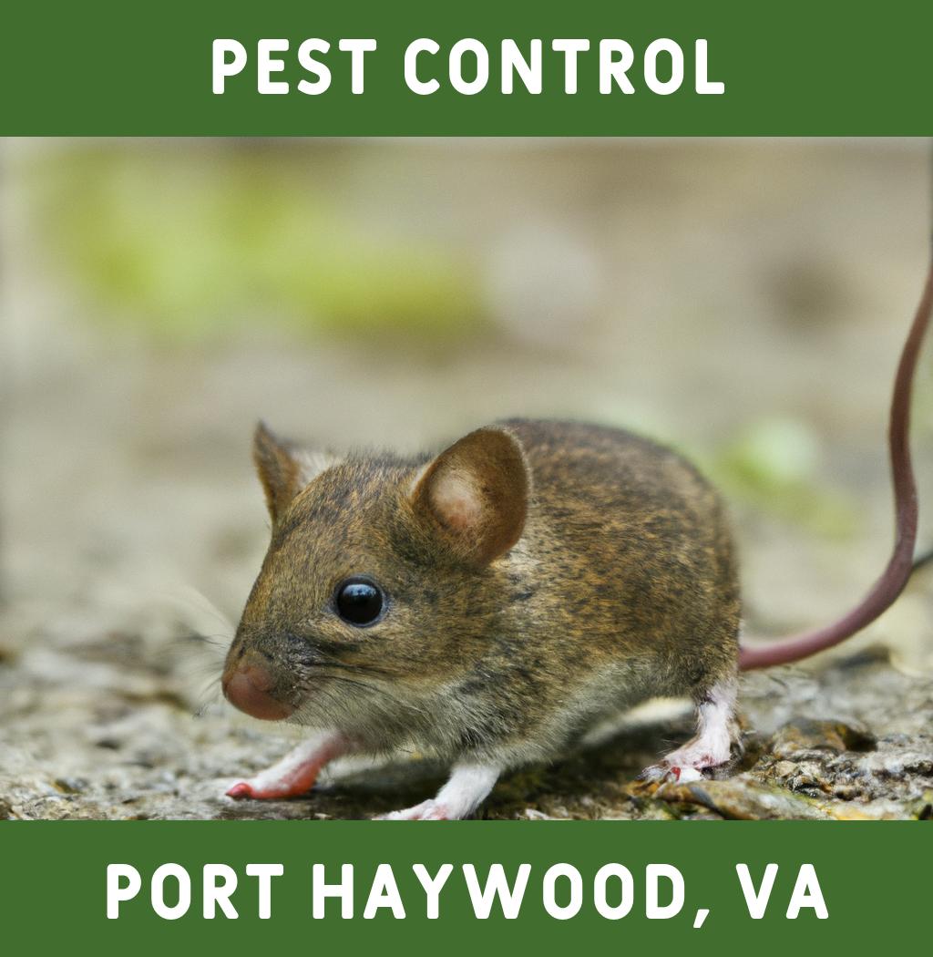 pest control in Port Haywood Virginia