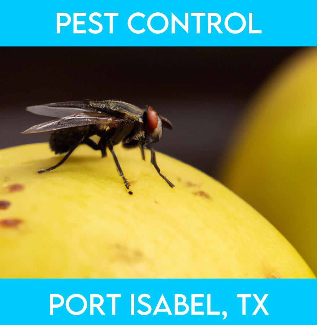 pest control in Port Isabel Texas