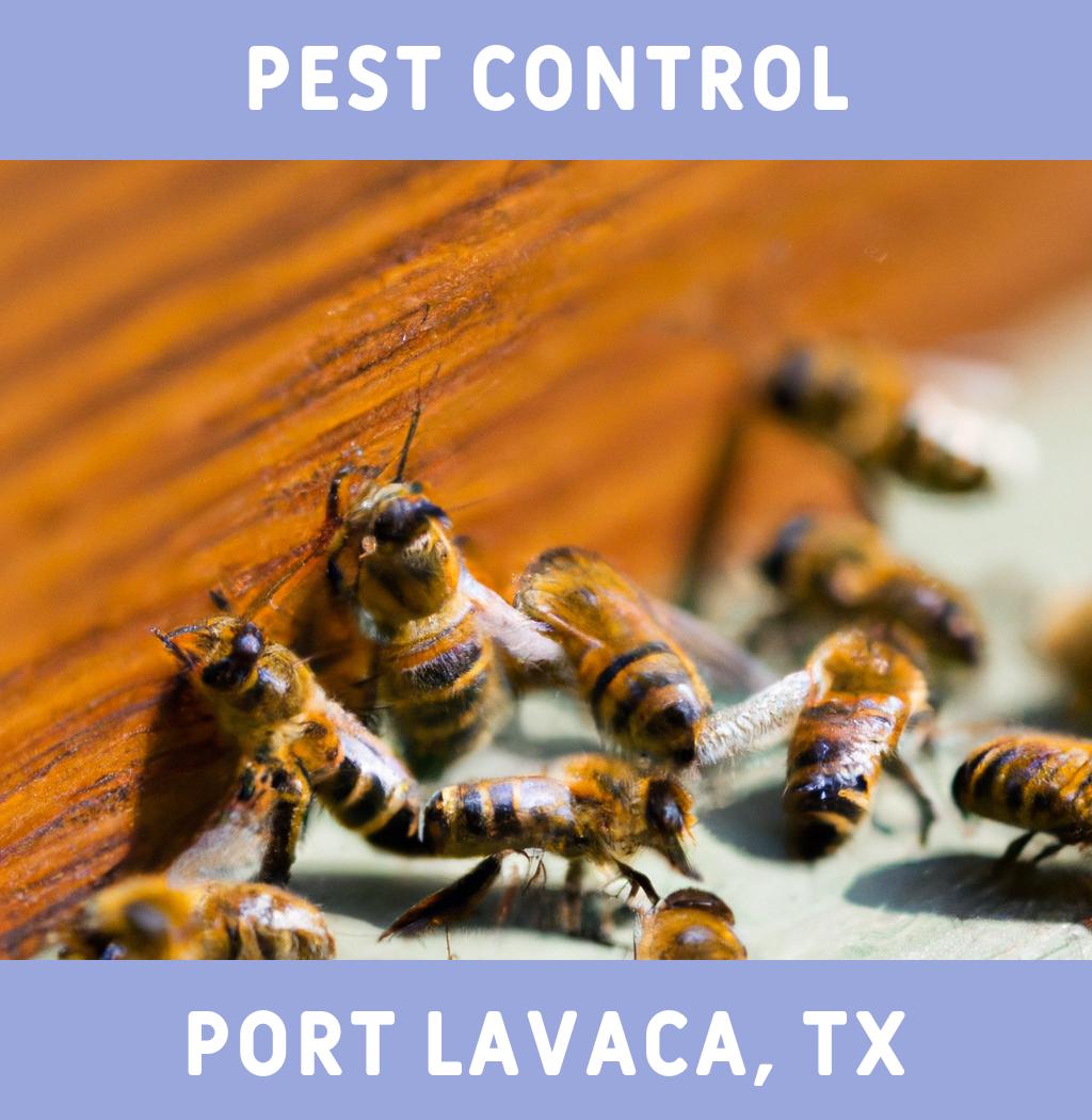 pest control in Port Lavaca Texas