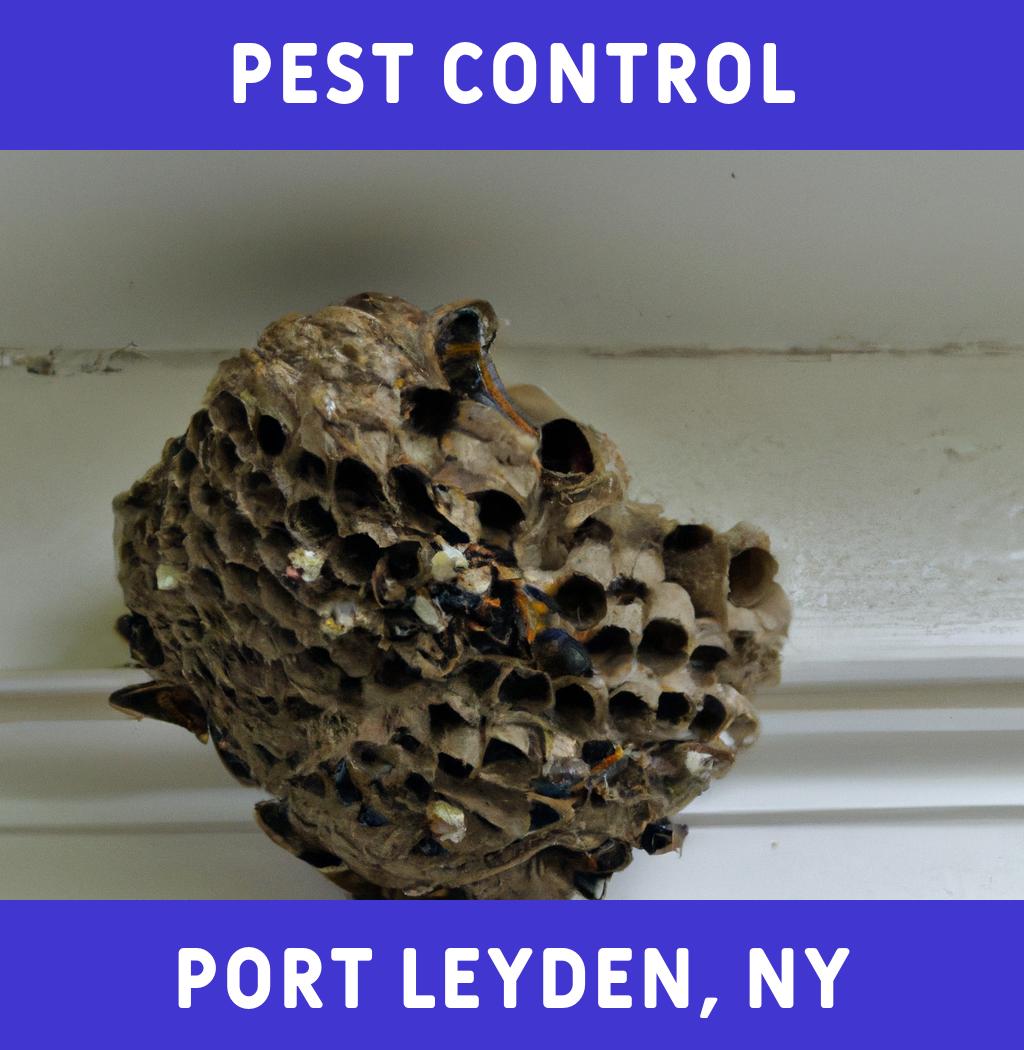 pest control in Port Leyden New York