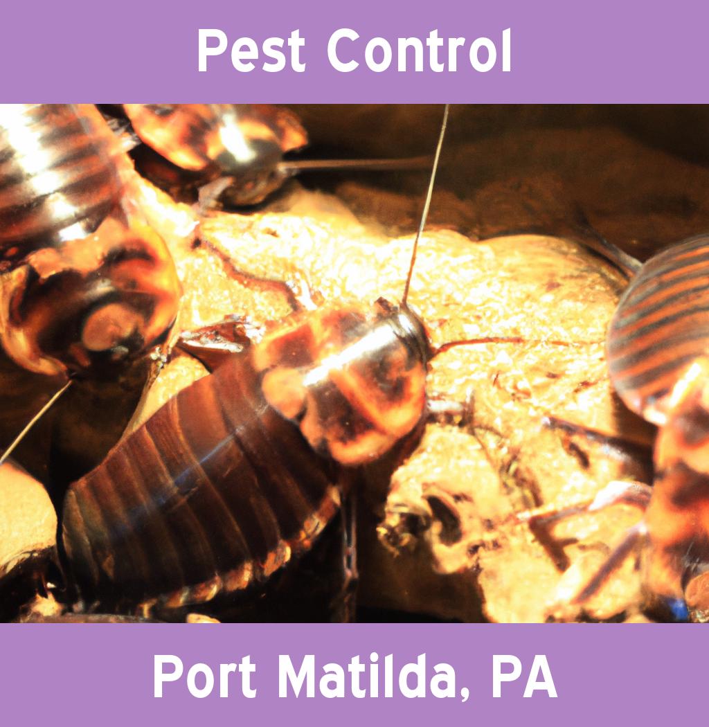 pest control in Port Matilda Pennsylvania