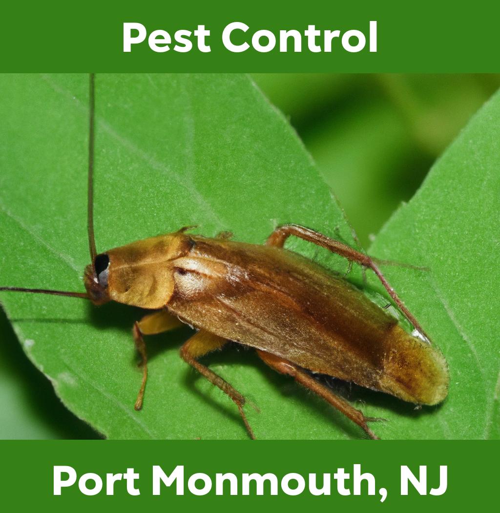 pest control in Port Monmouth New Jersey