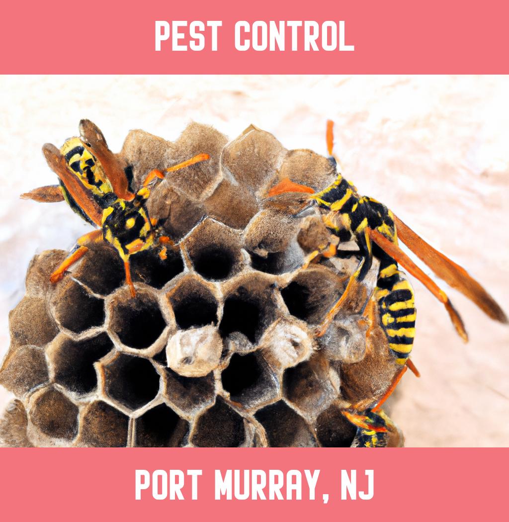 pest control in Port Murray New Jersey