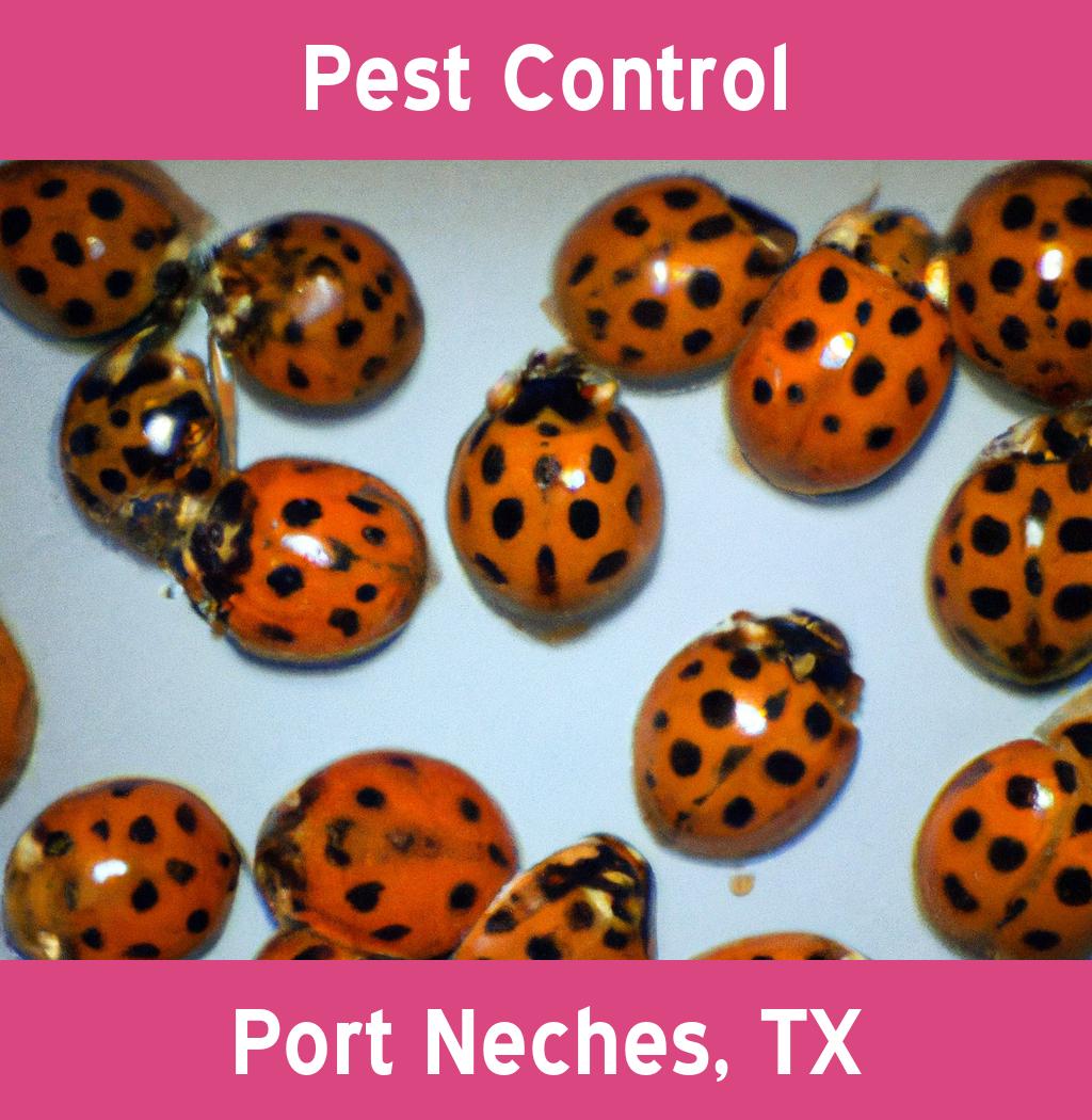 pest control in Port Neches Texas