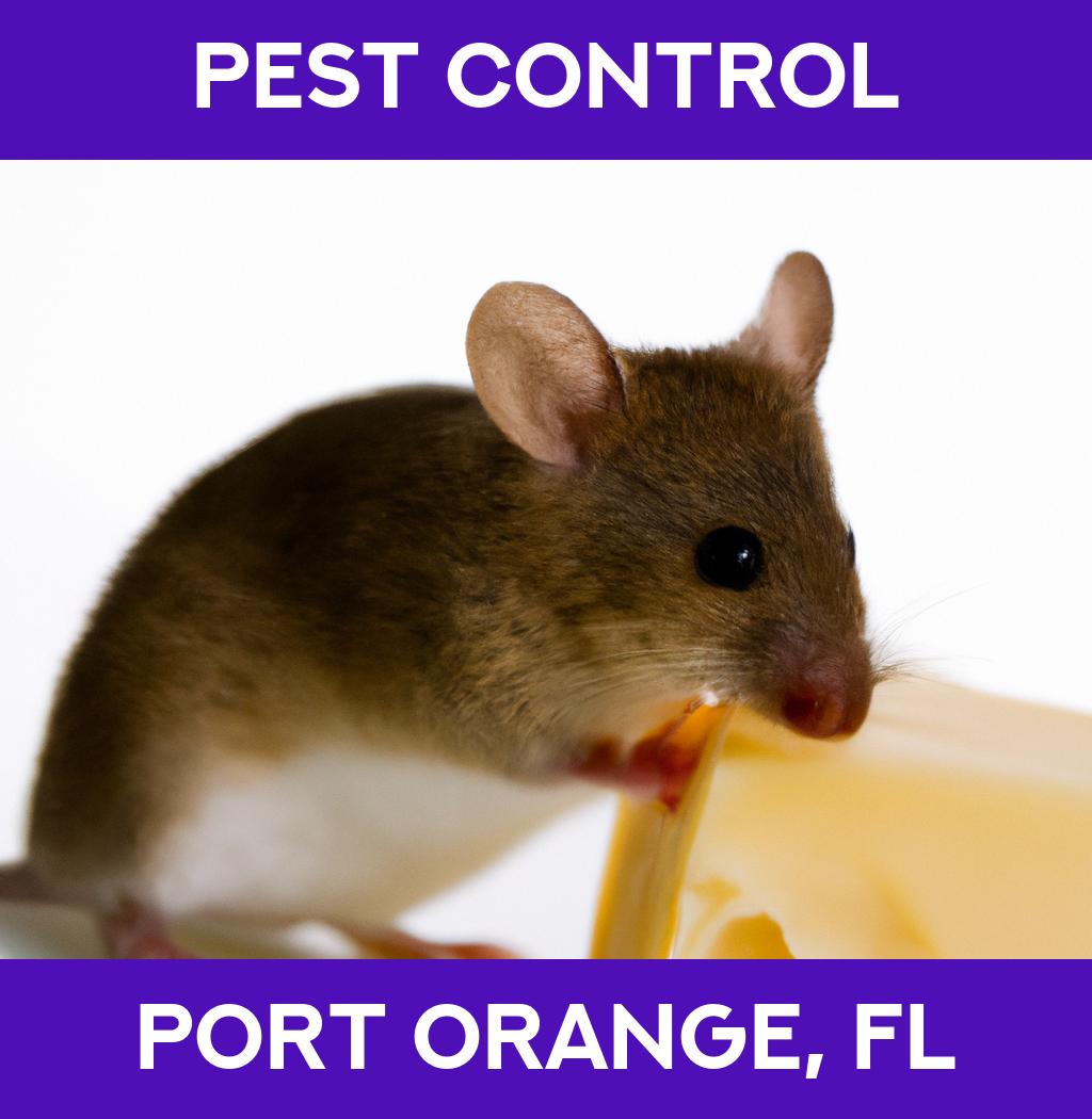 pest control in Port Orange Florida