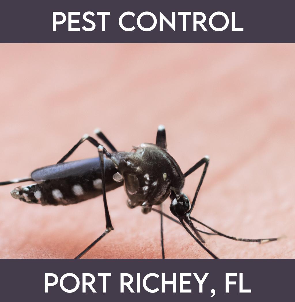 pest control in Port Richey Florida