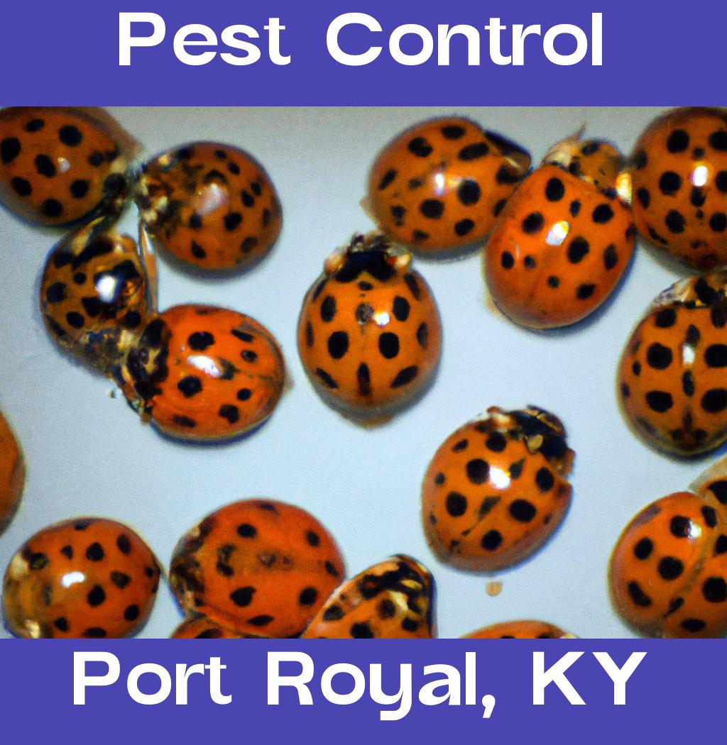 pest control in Port Royal Kentucky