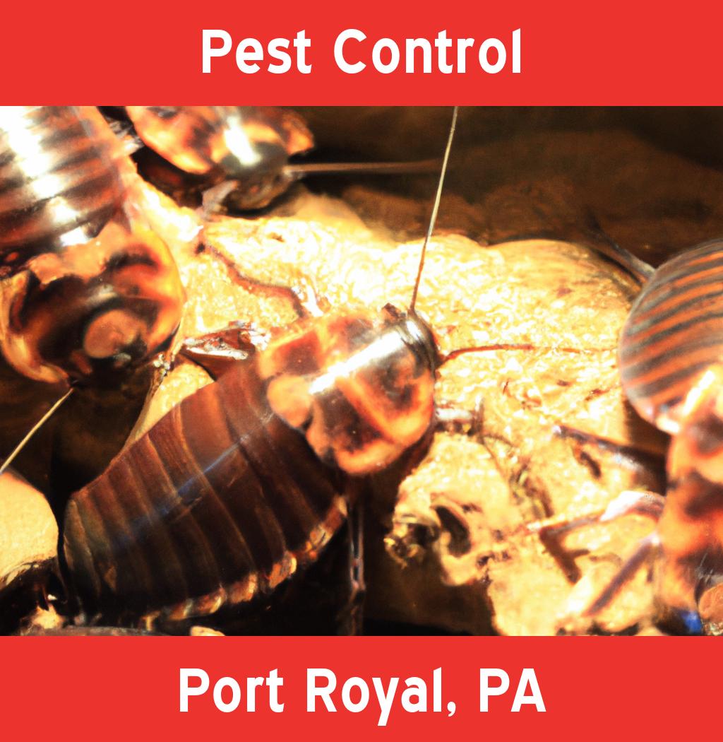 pest control in Port Royal Pennsylvania