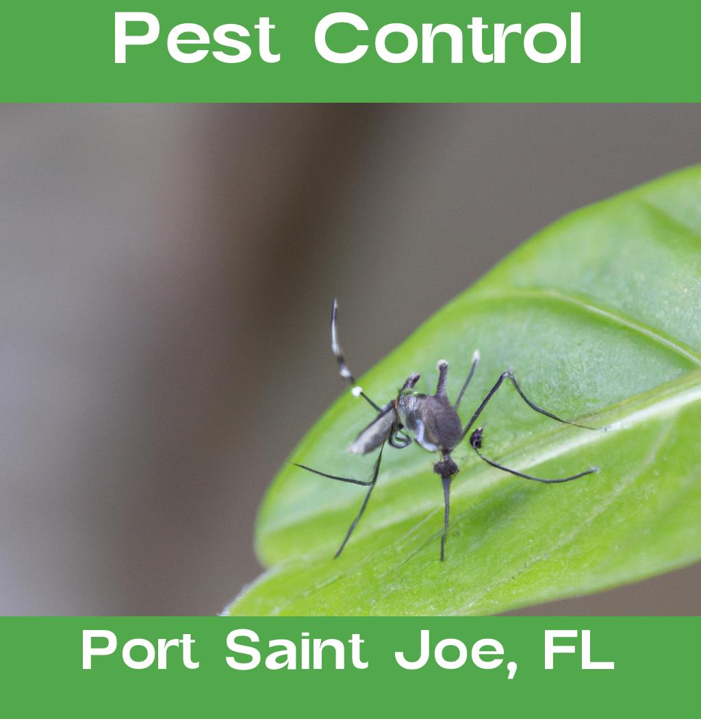 pest control in Port Saint Joe Florida