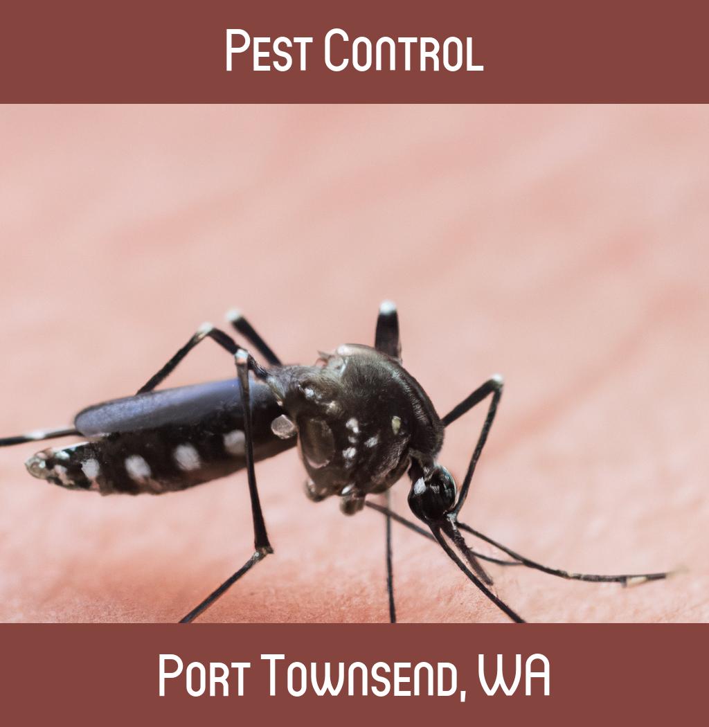 pest control in Port Townsend Washington