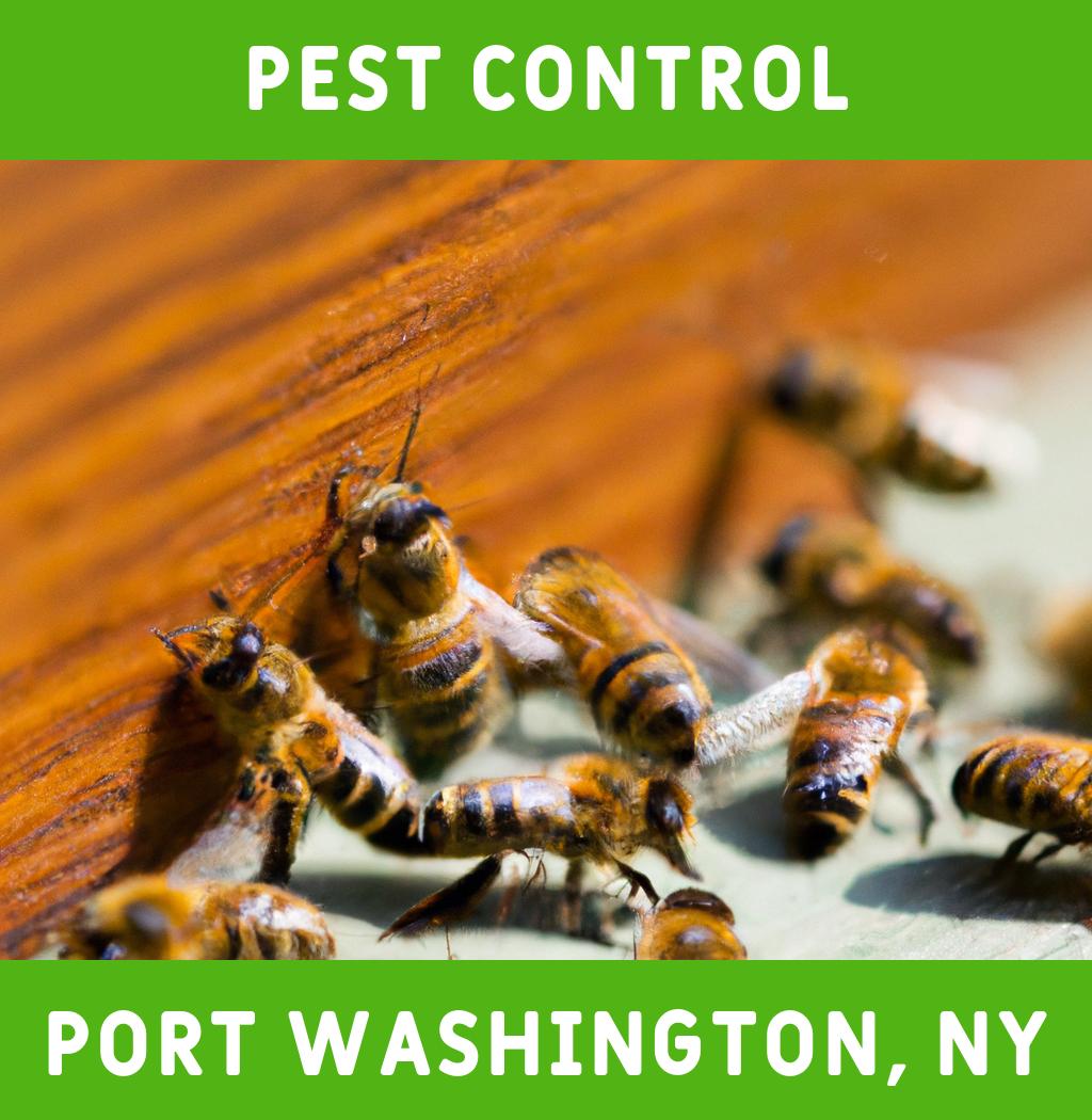 pest control in Port Washington New York