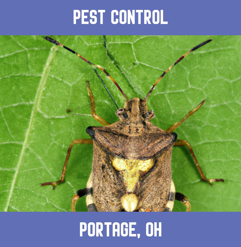 pest control in Portage Ohio