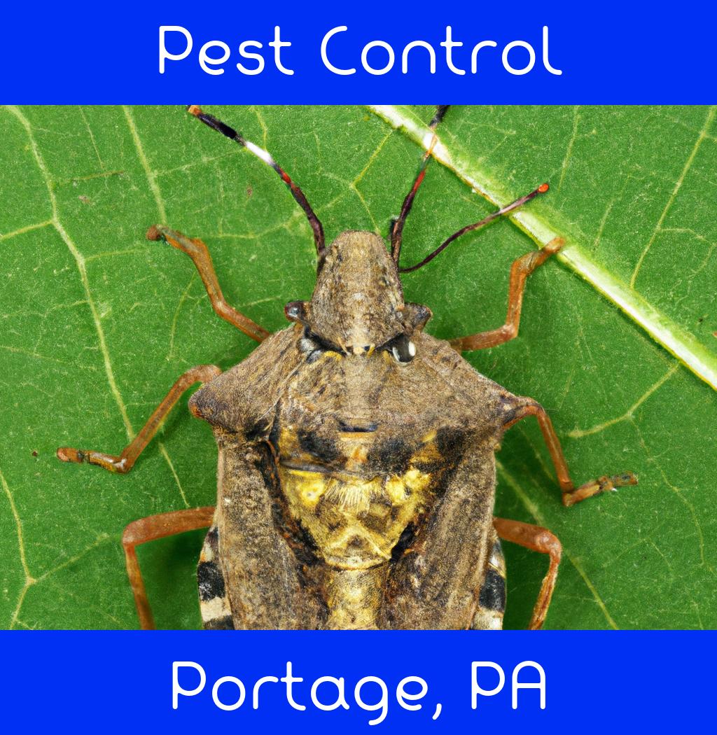 pest control in Portage Pennsylvania