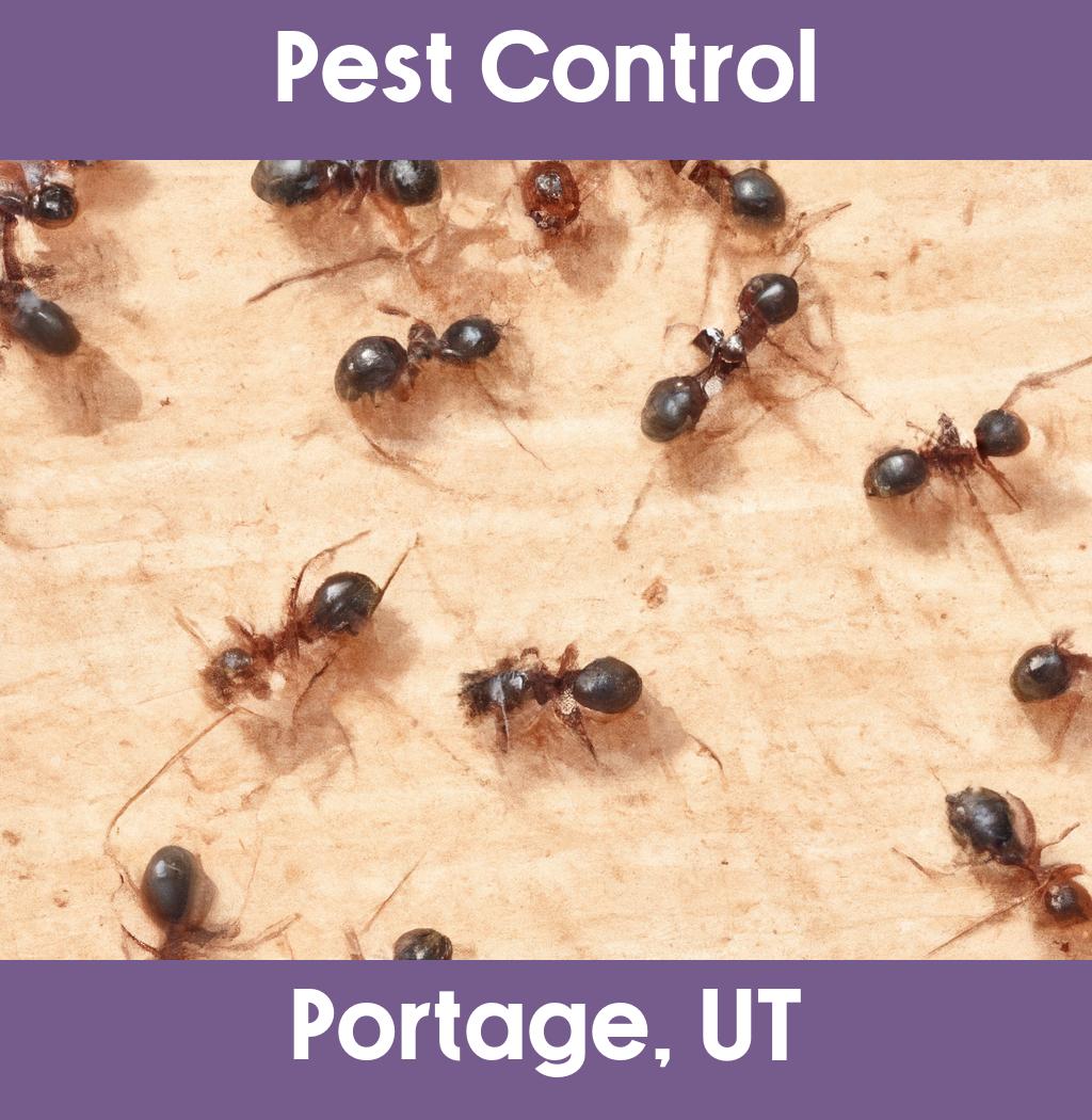 pest control in Portage Utah