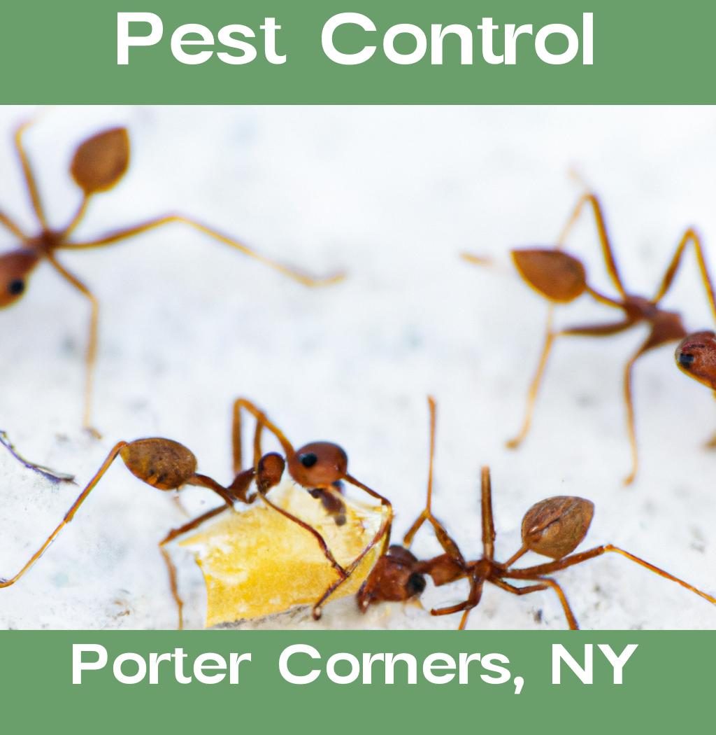 pest control in Porter Corners New York