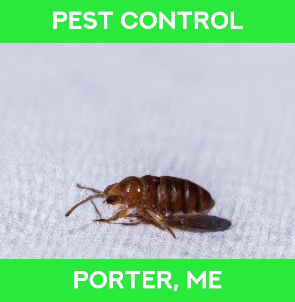 pest control in Porter Maine