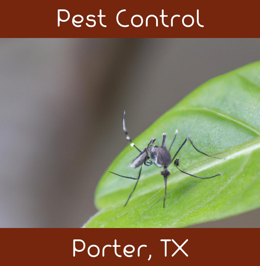 pest control in Porter Texas