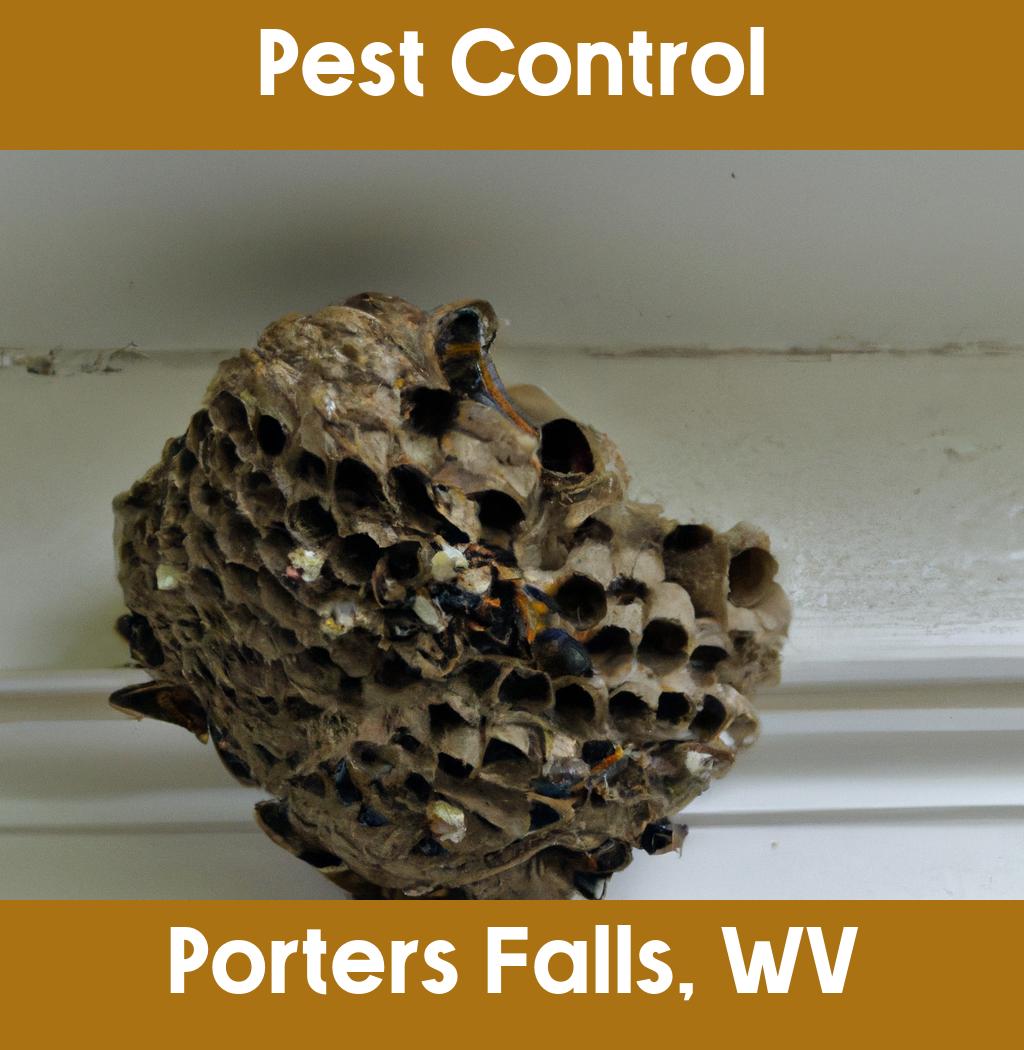 pest control in Porters Falls West Virginia