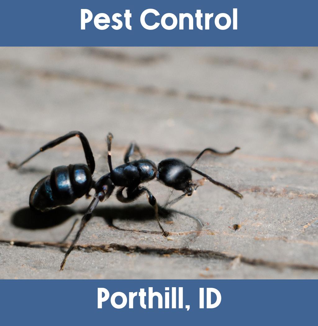 pest control in Porthill Idaho