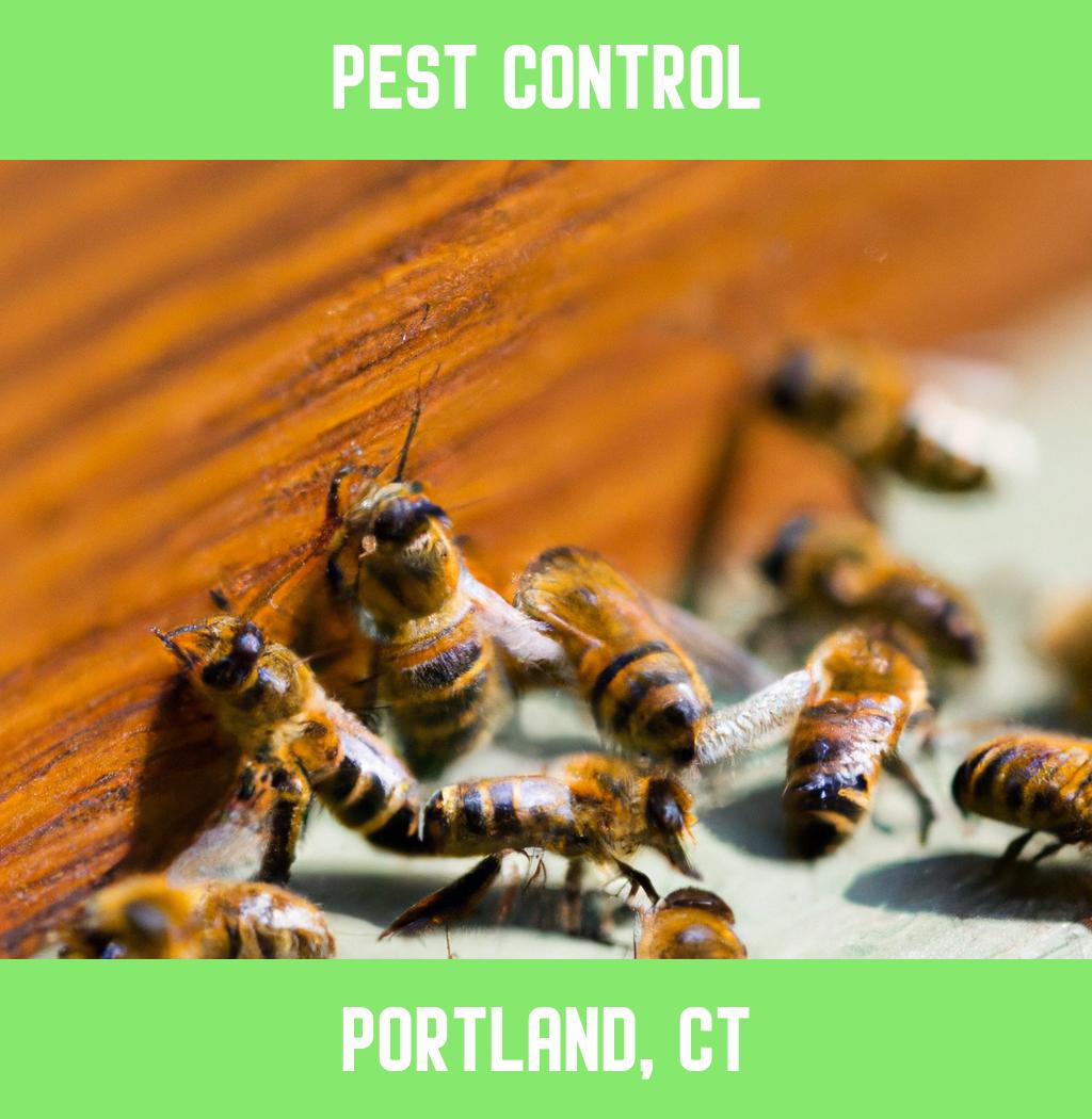 pest control in Portland Connecticut