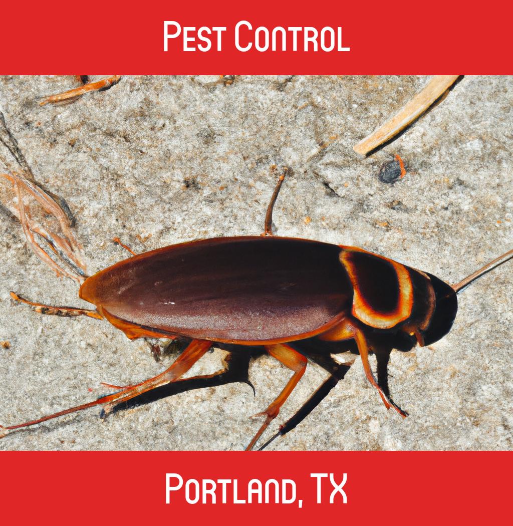 pest control in Portland Texas