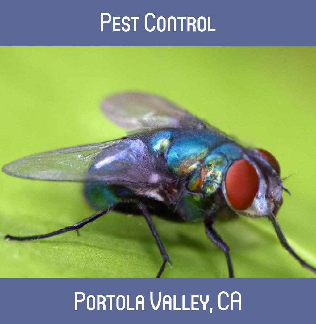 pest control in Portola Valley California
