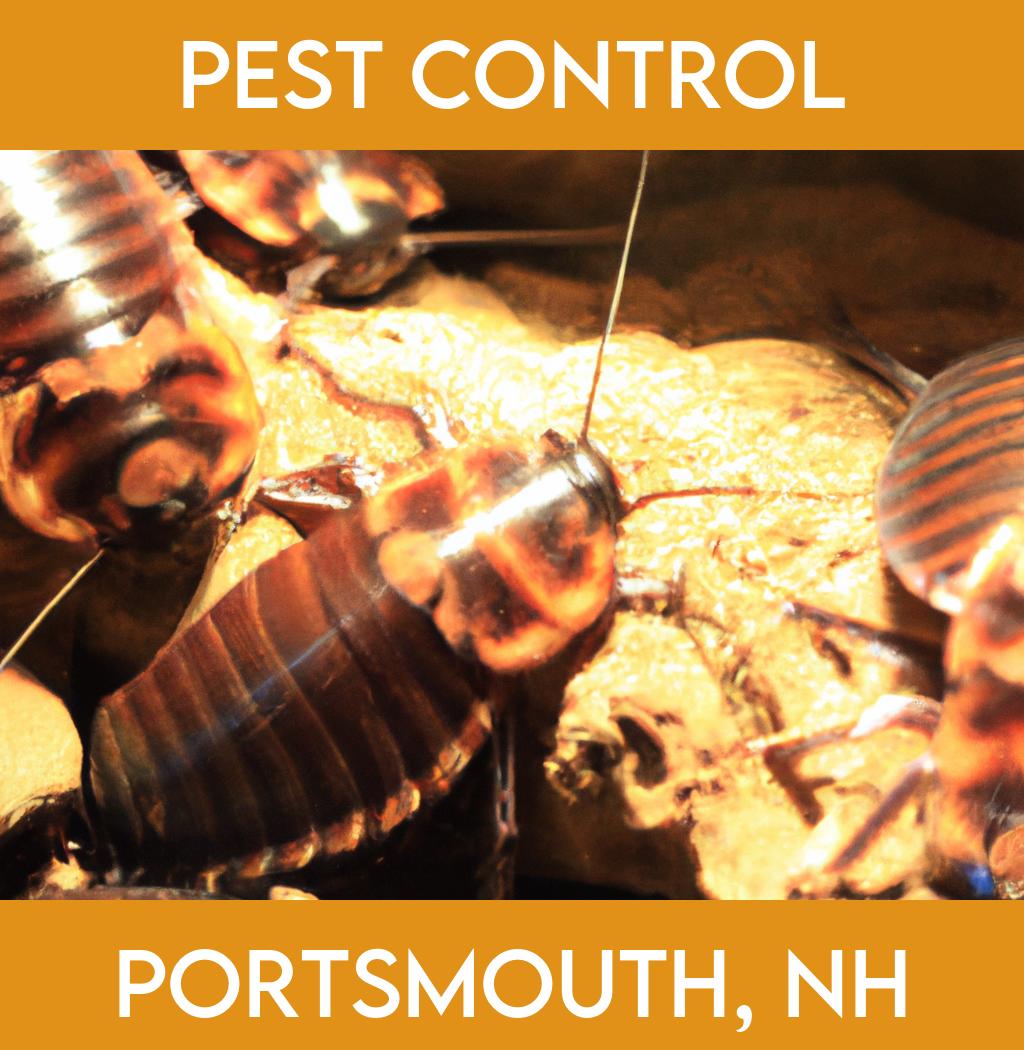 pest control in Portsmouth New Hampshire